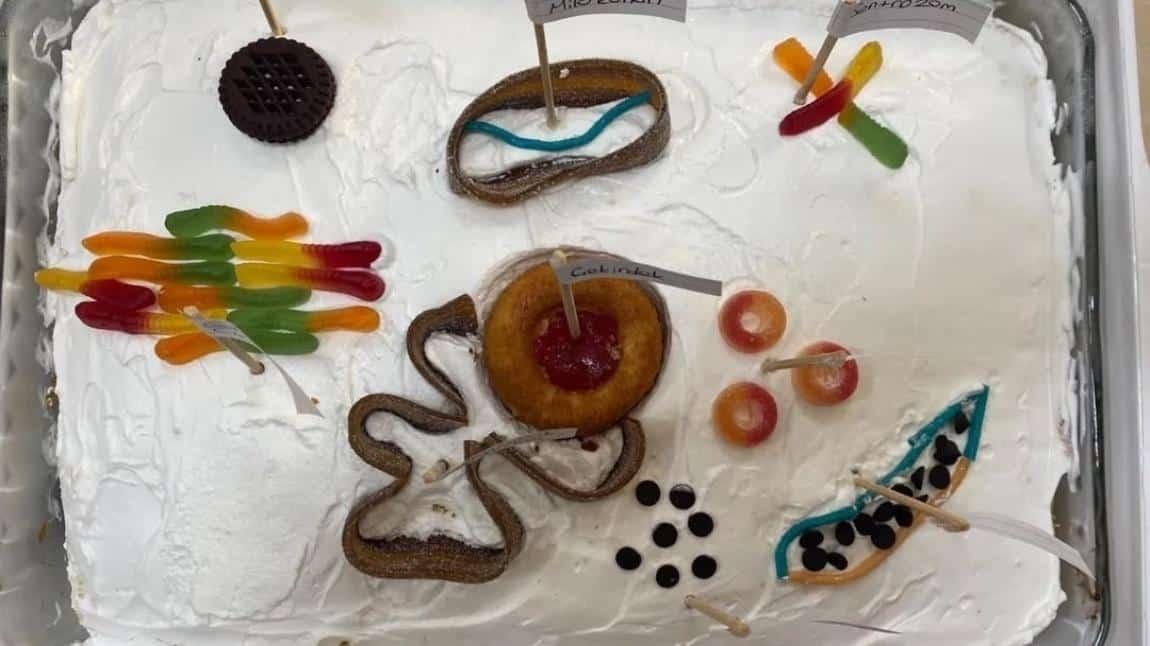 “Hücre ve Organeller” Pastası