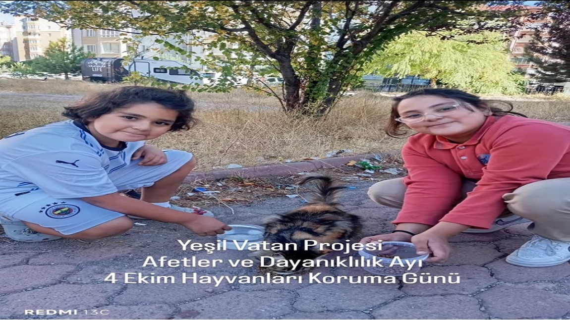 Patili Dostum Yanındayım